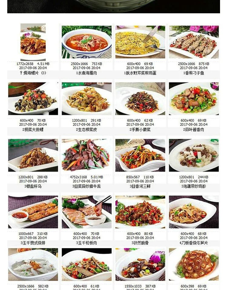 图片[14]-高清美食菜品菜谱JPG图片南北热菜图库美工设计喷绘打印素材-大怪兽分享