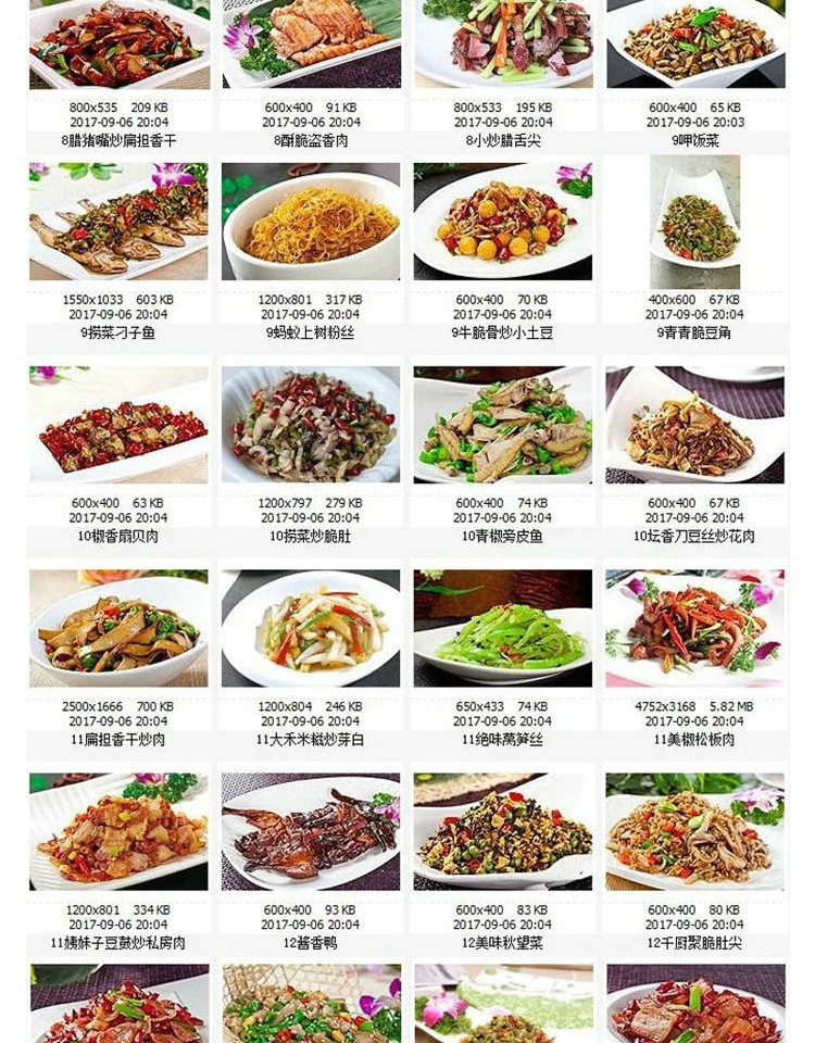 图片[17]-高清美食菜品菜谱JPG图片南北热菜图库美工设计喷绘打印素材-大怪兽分享